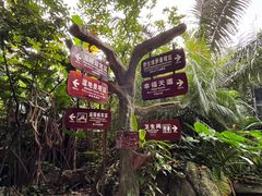 -呀诺达热带雨林