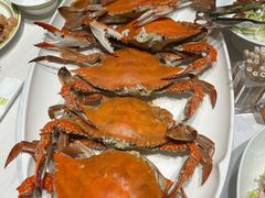 -开海·红岛海鲜虾水饺(石老人店)