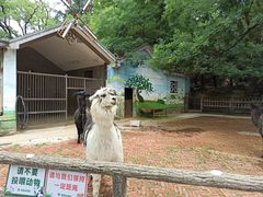 -昆明动物园