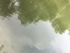 -地坛游泳馆