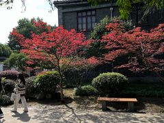 -南京中国近代史遗址博物馆(南京总统府)