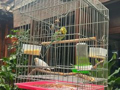 -束河人家(南锣鼓巷店)