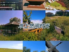 -黑龙江扎龙生态旅游区