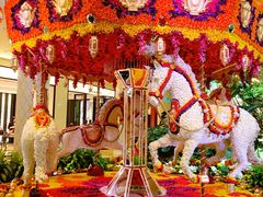 -拉斯维加斯永利酒店