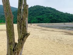 -花岙岛