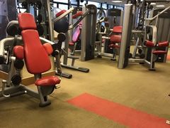 -健身专家Wellness Experts