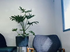 -研途咖啡馆(健康路店)