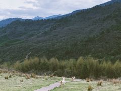 -硗碛藏寨·神木垒景区