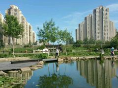 -前关湿地公园