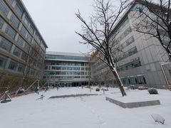 -首都医科大学附属北京地坛医院