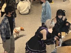 -育音堂音乐公园