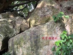-宋井风景区