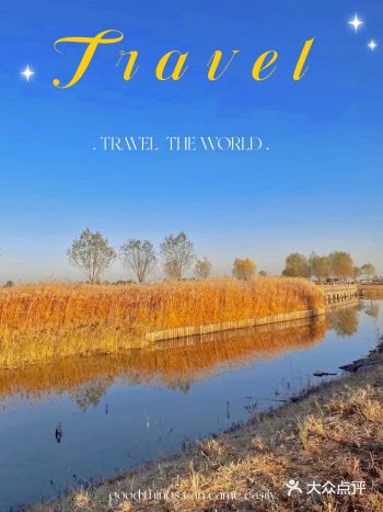 蓝天暖阳️就是要去野餐才好呀！