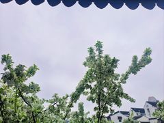 -熙盛源(凤凰街店)