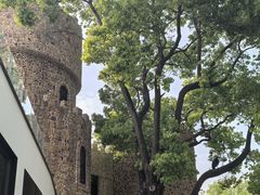 -J Create城市露营咖啡·简餐·宠物(上海动物园店)