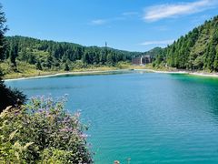 -武陵山森林公园