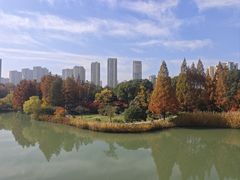 -青枫公园