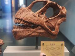 -云南省博物馆