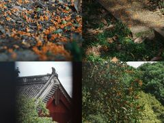 -宁波市保国寺古建筑博物馆