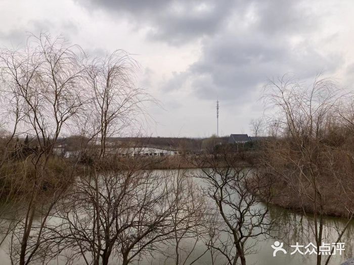 盐城丹顶鹤湿地生态旅游区图片