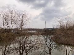 -盐城丹顶鹤湿地生态旅游区