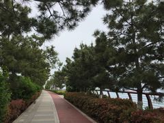 -石老人观光园