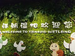 -洋湖国家湿地公园