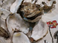 -渡海小渔村.老辈日照菜