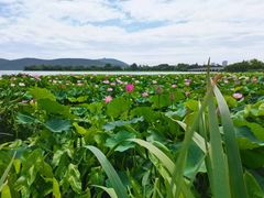 -云龙湖旅游景区