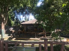 -清迈夜间动物园