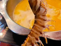 -鲜入围煮花胶鸡海鲜火锅