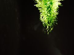 -奇胡利玻璃艺术园
