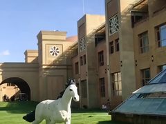 -亿利库布其七星湖沙漠生态旅游区