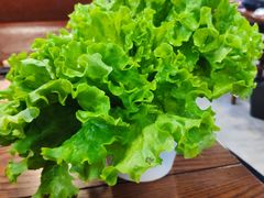 生菜-牛犇烤肉(物资学院路店)