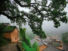 -杨家堂村