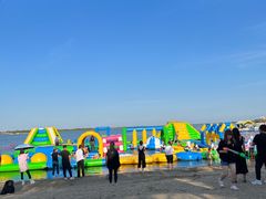 -呼兰河口湿地公园