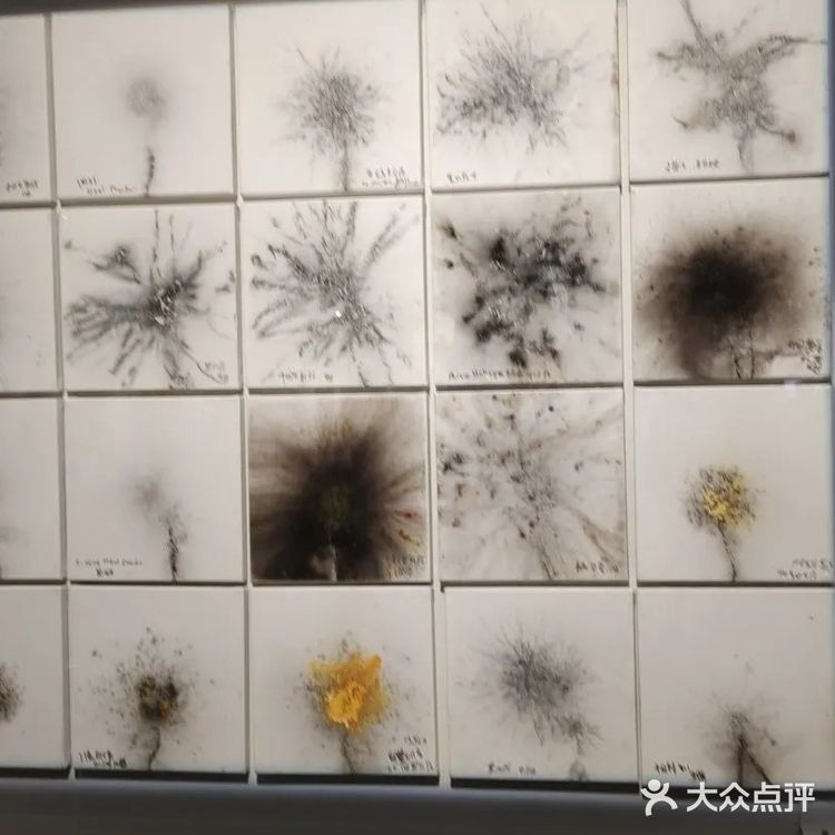 不可控之美