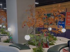 -帕帕拉兹宠物(亚洲旗舰店)