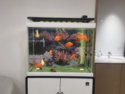 -丰联丽格医疗美容·联合丽格眼整形中心