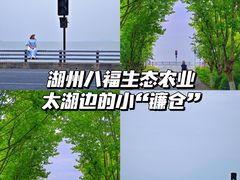 -湖州太湖旅游度假区-月亮广场