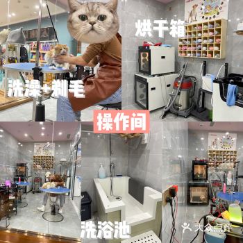 希望每只流浪猫猫都能有个温暖的冬天