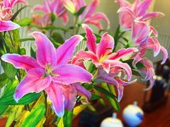 -一澜江宴·江景地标楚菜(江滩公园店)
