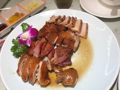-南枝记
