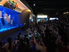 游乐设施-成都浩海立方海洋公园