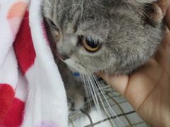 -达爱动物医院·犬猫分区·CT·复杂眼科(远洋山水分院)