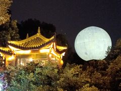 -巴倒烫陆派火锅山庄(南山总店)