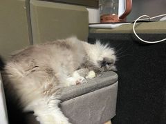 -零纪元VR体验馆·桌游(黄浦店)