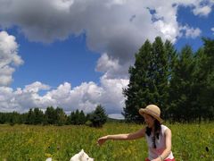 -塞罕坝国家级自然保护区