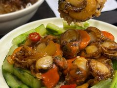 浓香扇贝盖浇饭-树夏Tree Summer