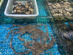 -琼大师东方烤乳猪(亚特兰蒂斯店)